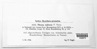 Image Associated With the Occurence